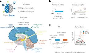 

Meta-Analysis of Harmonized Brain Transcriptomics Data for Prioritizing Therapeutic Target Genes