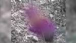 8-Year-Old Nomad Girl Found Dead