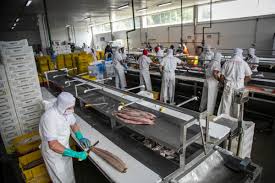 Países ricos podem trabalhar menos: análise de jornada de trabalho e impacto social