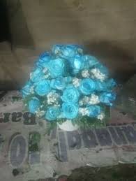 Image result for karangan bunga mawar biru