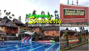 Hasil gambar untuk foto wisata bandung selatan ciwidey