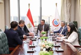 Egypt Reviews Progress On Capital Medical City Project