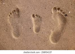 Family Footprints Sand On SeashoreẢnh có sẵn258954137 | Shutterstock