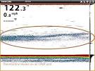 How To Read A Fish Finder : Finding Thermocline - Catfish Edge