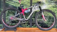2025 Specialized Epic World Cup LTD M