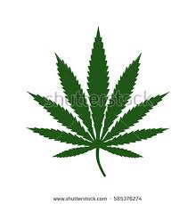 Résultat de recherche d'images pour "cannabis leaf"