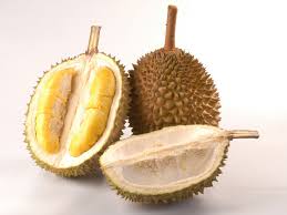 Hasil gambar untuk buah durian