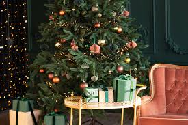 Christmas 2025 guide: Know date, origin, history, and why it is celebrated