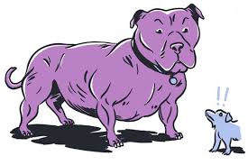 News source: The New York Times