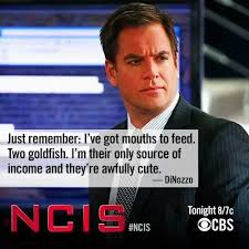 Dinozzo Ncis Quotes. QuotesGram via Relatably.com
