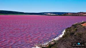 Image result for pics of pink colored lakes around the world