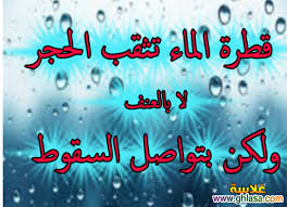 Résultat de recherche d'images pour "‫حكم عن الحكمة‬‎"
