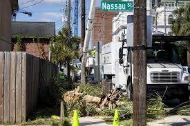 Dominion to remove about 200 palmetto trees beneath power lines across Charleston peninsula