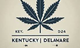 Kentucky And Delaware Held Cannabis Licensing Lotteries, Ushering In New Regulated Markets