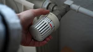 Vermieter : la rencontre qui retient son souffle — image 4