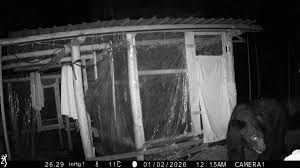 News source: 大紀元新聞網