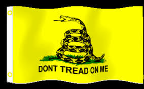 Image result for gadsden flag