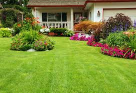 Image result for home gardens
