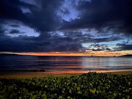 Maui Now - News update