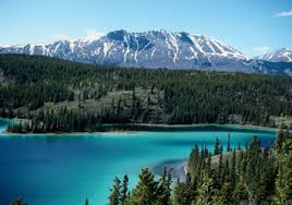 Image result for whitehorse