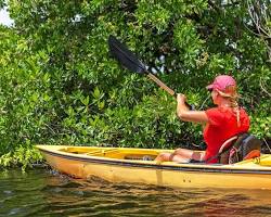 Kayak dans la mangrove, Bouillante