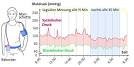 x Pipettenflaschen (Klarglas) ml inkl. Pipetten mit Standard