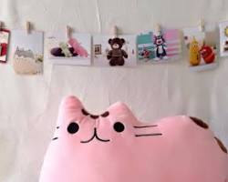 Hình ảnh về Pusheen kích thước lớn