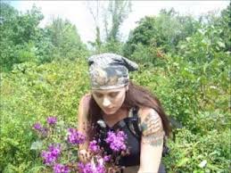 Image result for ironweed plant