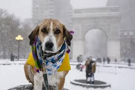 NYC, NJ forecasts now warn up to 10 inches of snow expected for Sunday storm