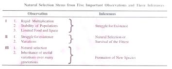 Image result for organisms and their environment