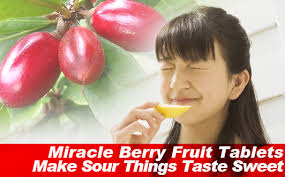 What they found out that is it makes sour foods like kankies, pitto, and guddoe traditional dishes that tend to taste sour taste sweet and delicious. - miracle-berry-fruit-tablets-00l