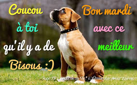 Résultat de recherche d'images pour "image bon mardi"