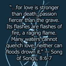 Song of Solomon on Pinterest | Solomon, Song Of Songs and Songs via Relatably.com