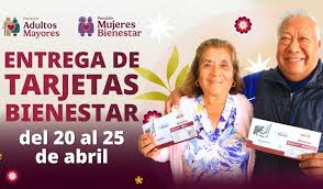 Tarjetas Del Bienestar