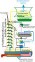 Febre maculosa das: Topics by Science. gov