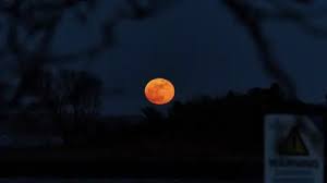 blood%20moon%20total%20lunar%20eclipse%20today