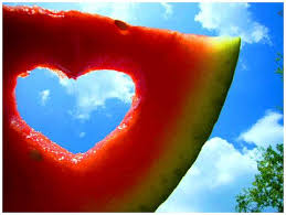 Résultat de recherche d'images pour "summer"