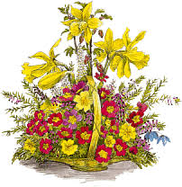 Résultat de recherche d'images pour "gif  fleurs des champs"
