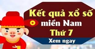 Pháp Luật và Xã hội - News update