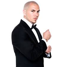 Resultado de imagen párr pitbull