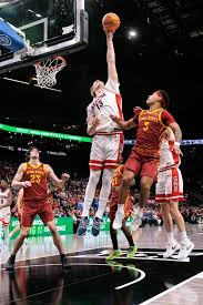 Will Arizona center Motiejus Krivas be picked in NBA Draft?