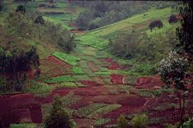 Image result for burundi