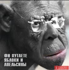 Евросоюз рассматривает ЕврАзЭС как идеологизированное объединение, созданное для расширения влияния России, - Лавров - Цензор.НЕТ 9060