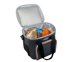 Thermos 24 Can Soft Cooler in Charcoal