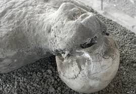 pompeii disaster에 대한 이미지 검색결과