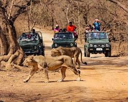 Image of Gir National Park Gujarat