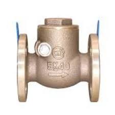 Shop SS Check Valve in Dubai, UAE