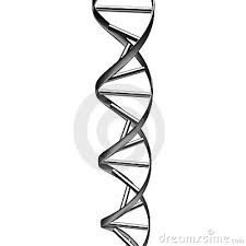 Résultat de recherche d'images pour "white dna"