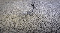 Earth shattered global heat record in ’23 and it’s flirting with warming limit, European agency says