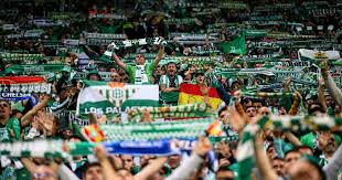 Trend Google: panathinaikos - betis